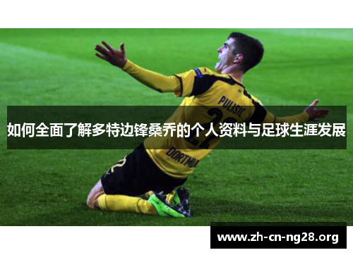 如何全面了解多特边锋桑乔的个人资料与足球生涯发展