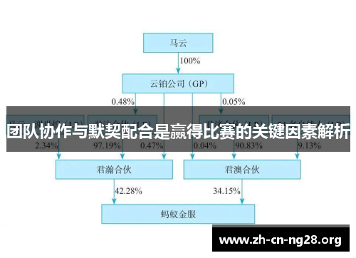 团队协作与默契配合是赢得比赛的关键因素解析