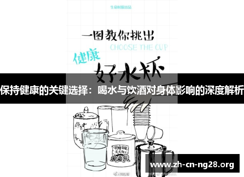 保持健康的关键选择：喝水与饮酒对身体影响的深度解析