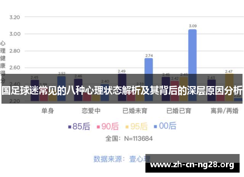国足球迷常见的八种心理状态解析及其背后的深层原因分析
